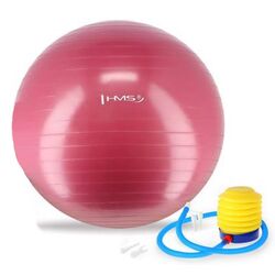 Fitball Hms YB01 (Pink) Thumb
