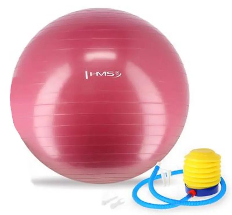 Fitball Hms YB01 (Pink) - 2