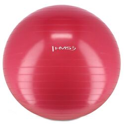 Fitball Hms YB01 (Pink)
