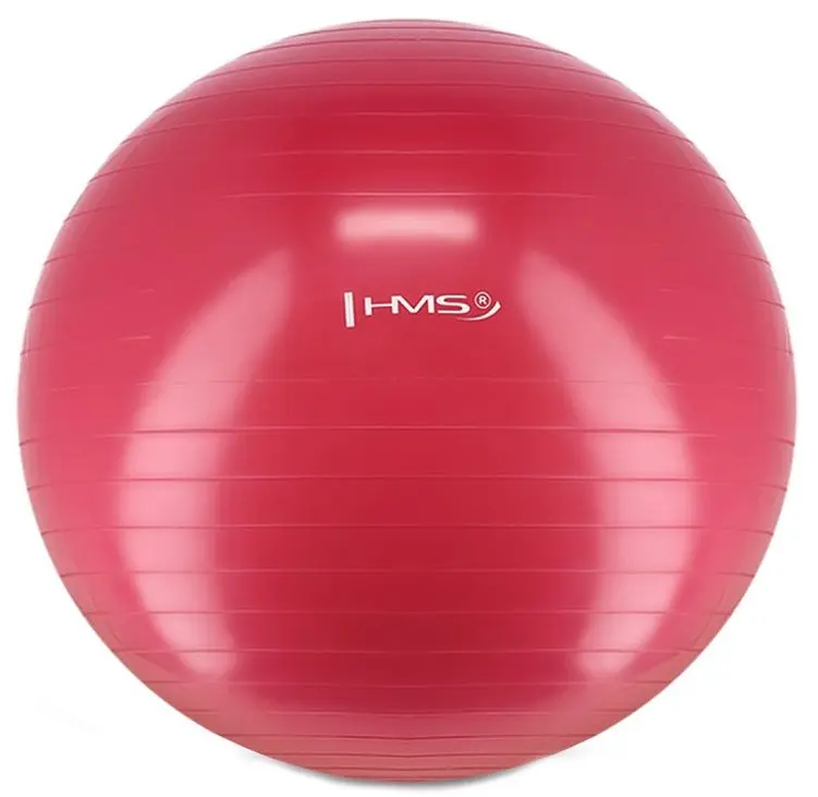 Fitball Hms YB01 (Pink)