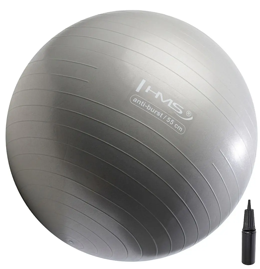 Fitball HMS YB02 55cm (Graphite) - 2