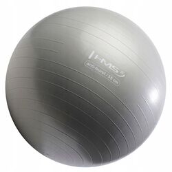 Fitball HMS YB02 55cm (Graphite)