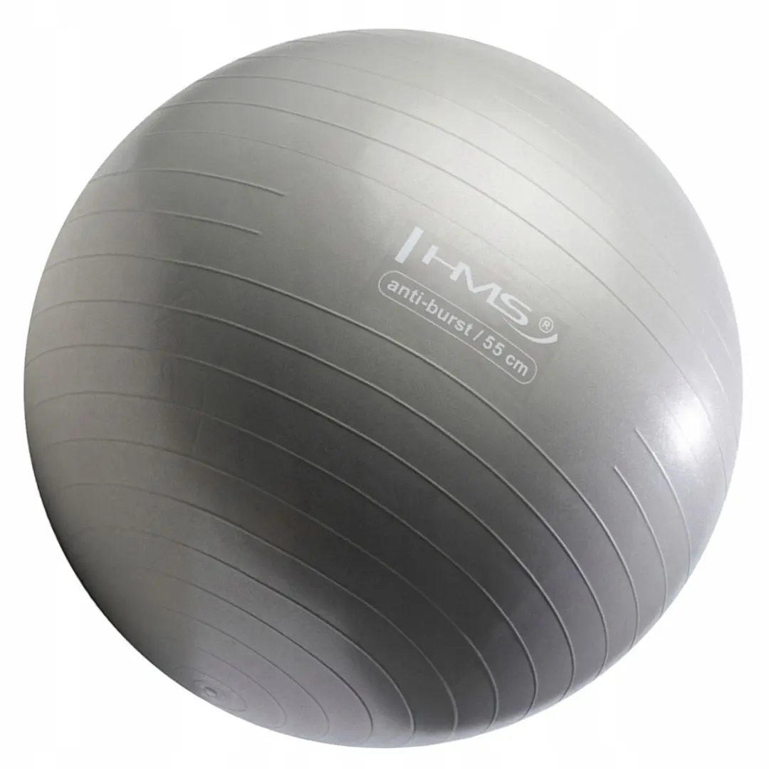 Fitball HMS YB02 55cm (Graphite)