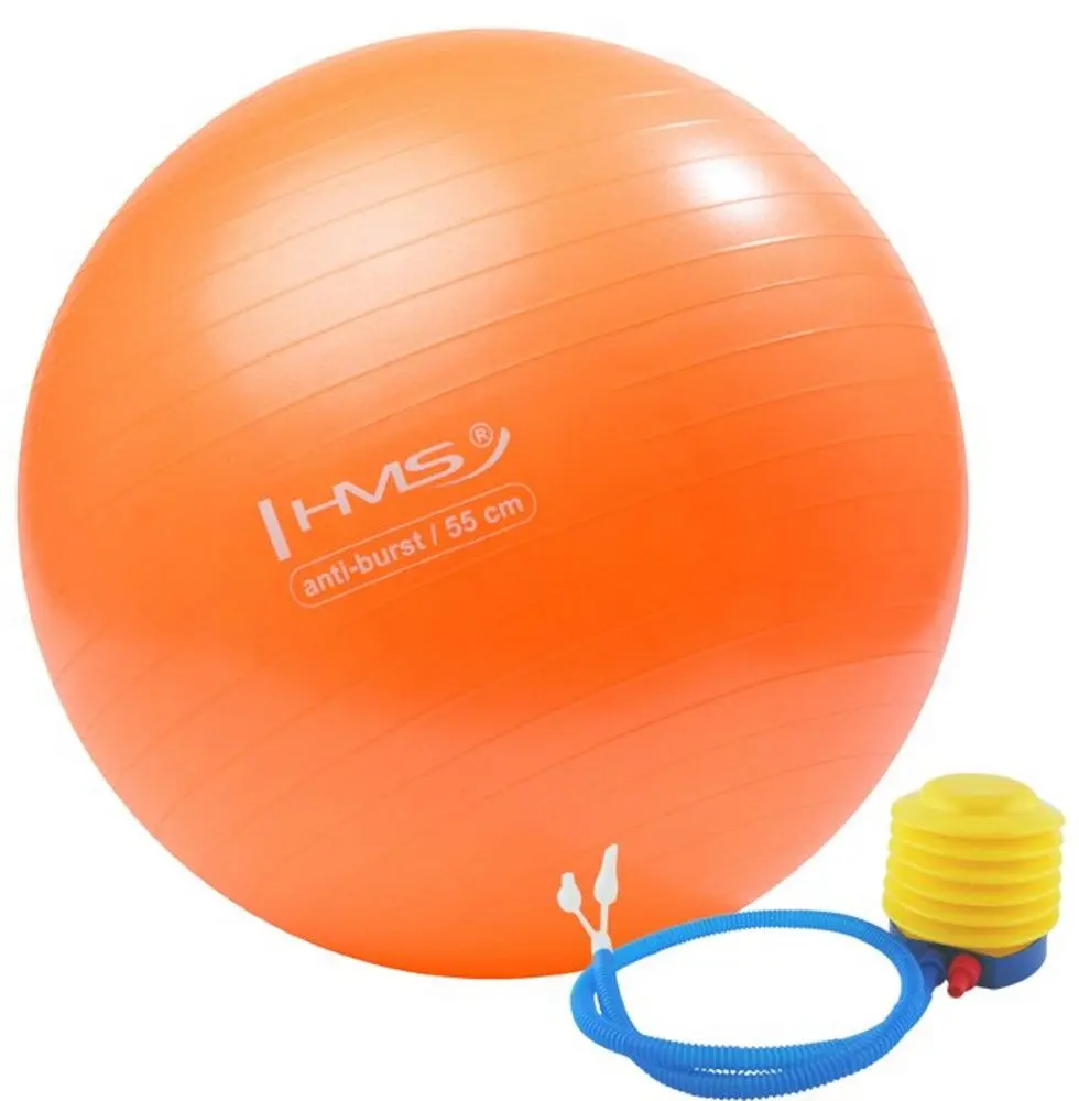 Фитбол HMS YB02 55cm (Orange) - 2