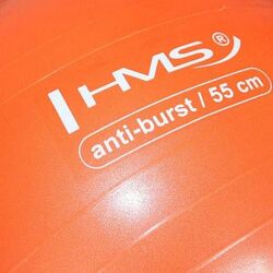 Фитбол HMS YB02 55cm (Orange) Thumb