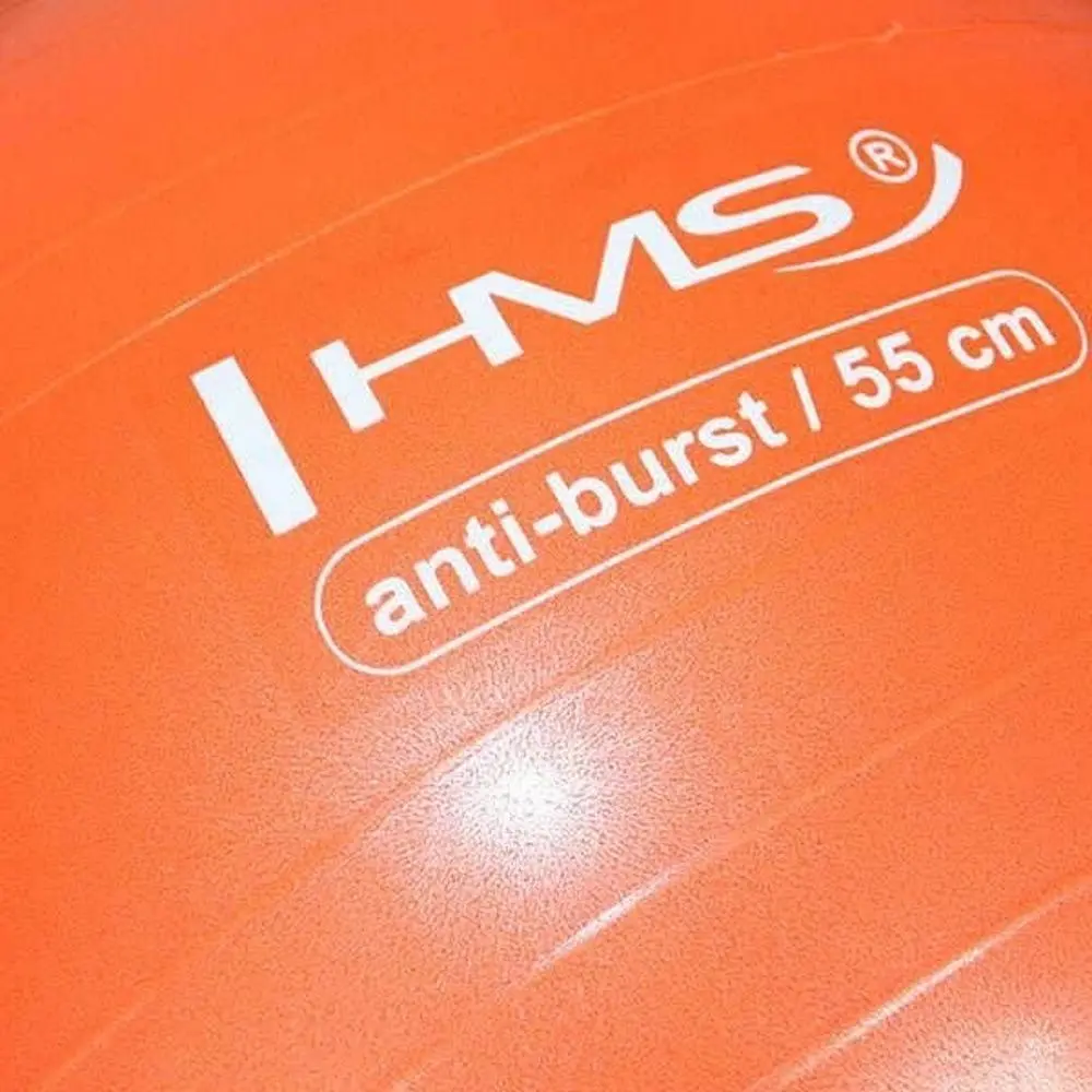Фитбол HMS YB02 55cm (Orange) - 3