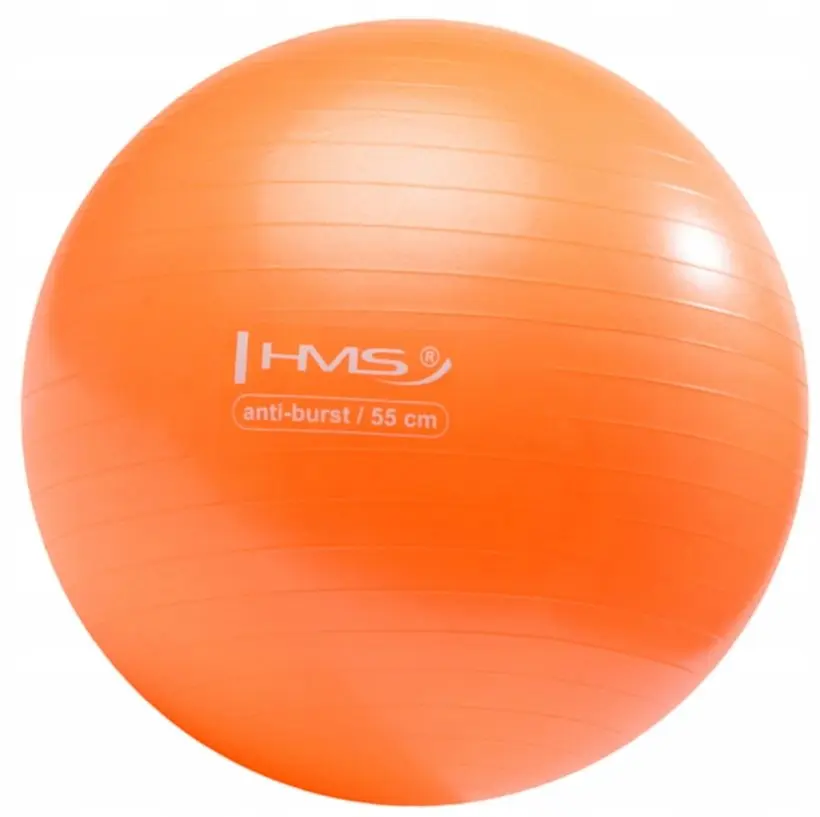 Фитбол HMS YB02 55cm (Orange)