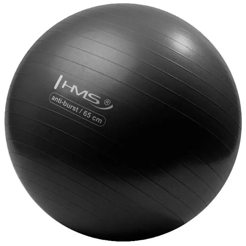 Фитбол Hms YB02 65 см (Black)
