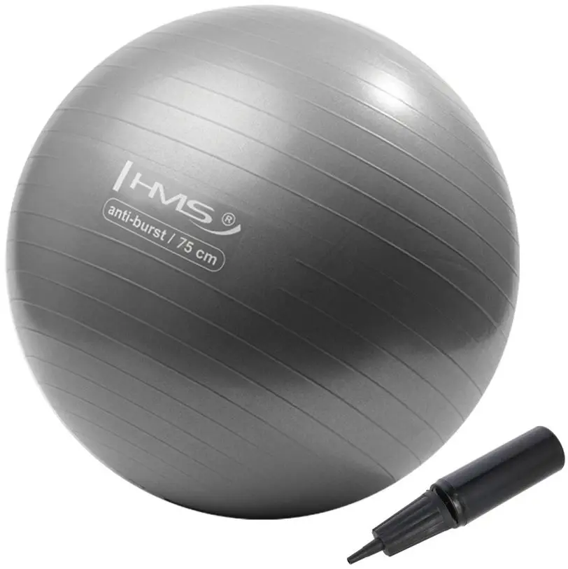 Fitball Hms YB02 75 cm (Grey) - 2
