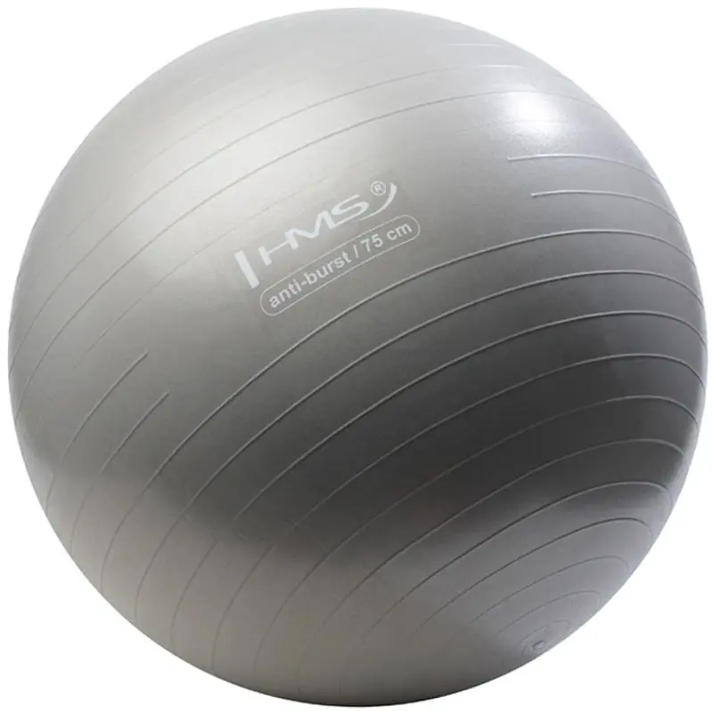 Fitball Hms YB02 75 cm (Grey)