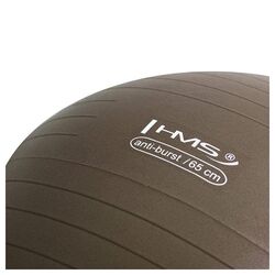 Fitball Hms YB02 (Brown) Thumb
