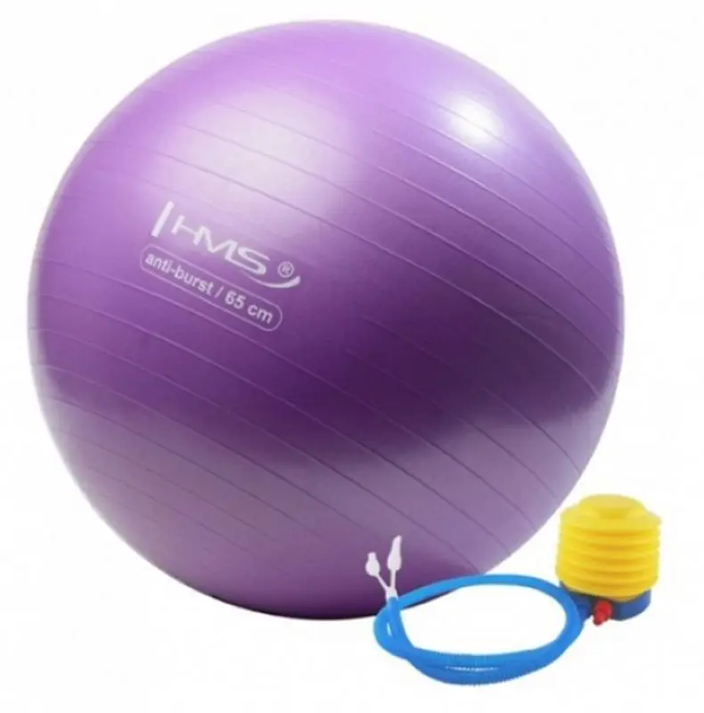 Fitball Hms YB02 (Purple) - 2
