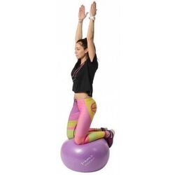 Fitball Hms YB02 (Purple) Thumb