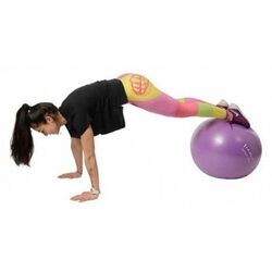 Fitball Hms YB02 (Purple) Thumb