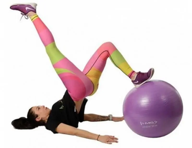 Fitball Hms YB02 (Purple) - 6