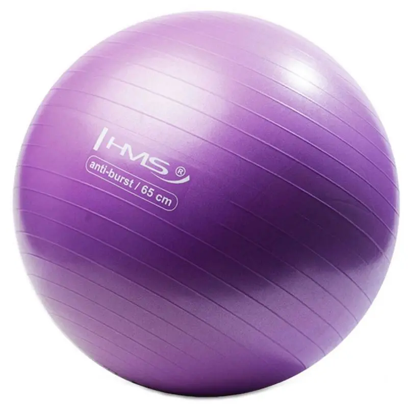 Fitball Hms YB02 (Purple)