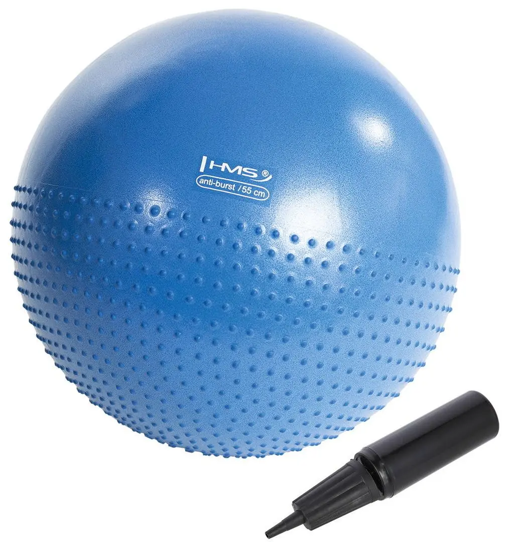 Фитбол Hms YB03 55cm (Blue) - 2