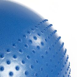 Фитбол Hms YB03 55cm (Blue) Thumb
