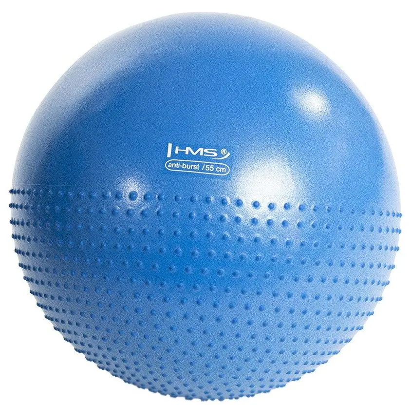 Фитбол Hms YB03 55cm (Blue)