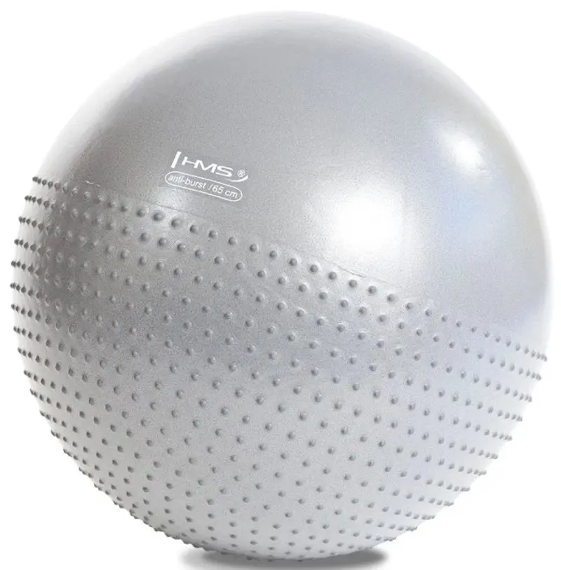 Fitball Hms YB03 65сm (Light Grey)
