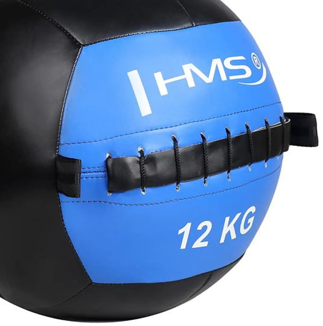 Медицинский мяч HMS WLB12 12kg (Black/Blue)