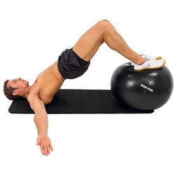 Фитбол Iron Gym IG-EXRB55 (Black) Thumb