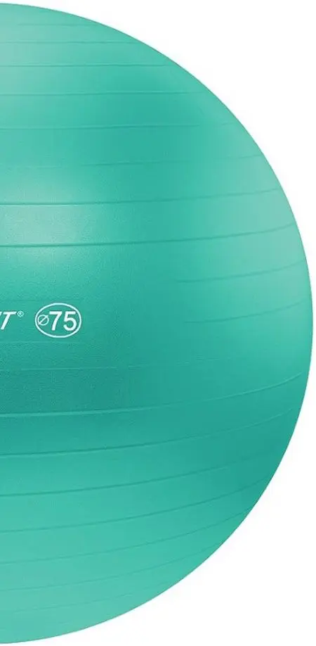 Minge pentru gimnastica Lifefit 75cm (Turquoise) - 3