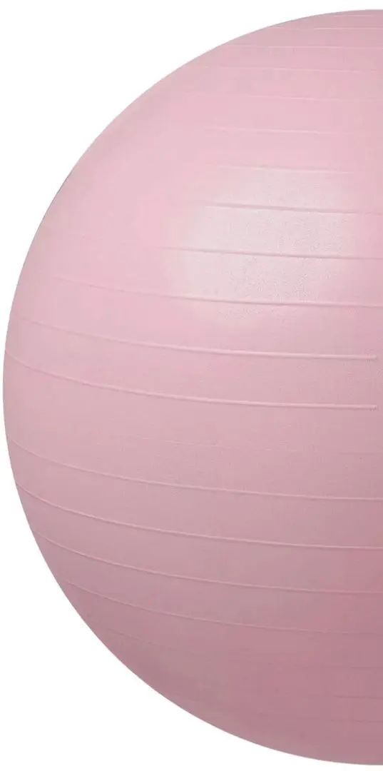 Fitboll Martes Bursti Shiny Light 55cm (Pink) - 2