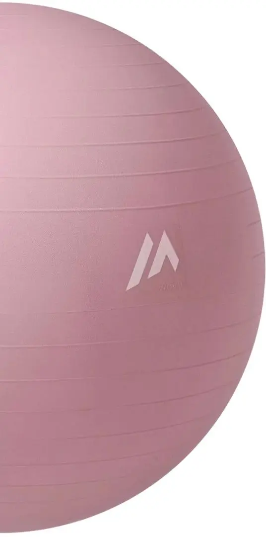 Fitboll Martes Bursti Shiny Light 55cm (Pink) - 3
