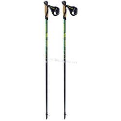 Треккинговые палки Masters Physique 0.5 Carbon 110 cm (Black/Green)