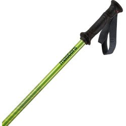 Треккинговые палки Masters Ranger (Lime/Dark Green) Thumb