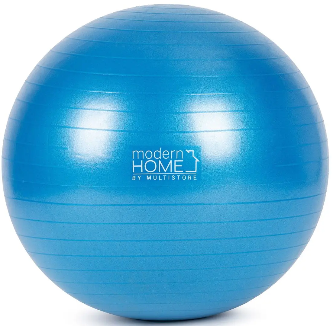 Fitball + pompa Modern Home MS-ABB65 (Blue) - 2