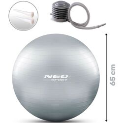 Fitball Neo-Sport NS-951 (Silver) Thumb