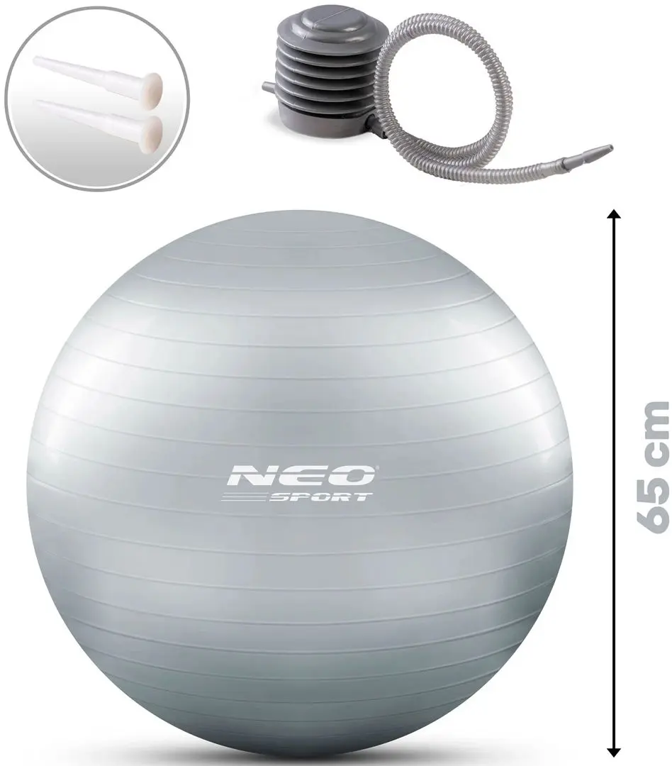 Fitball Neo-Sport NS-951 (Silver)
