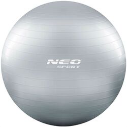 Fitball Neo-Sport NS-951 (Silver)