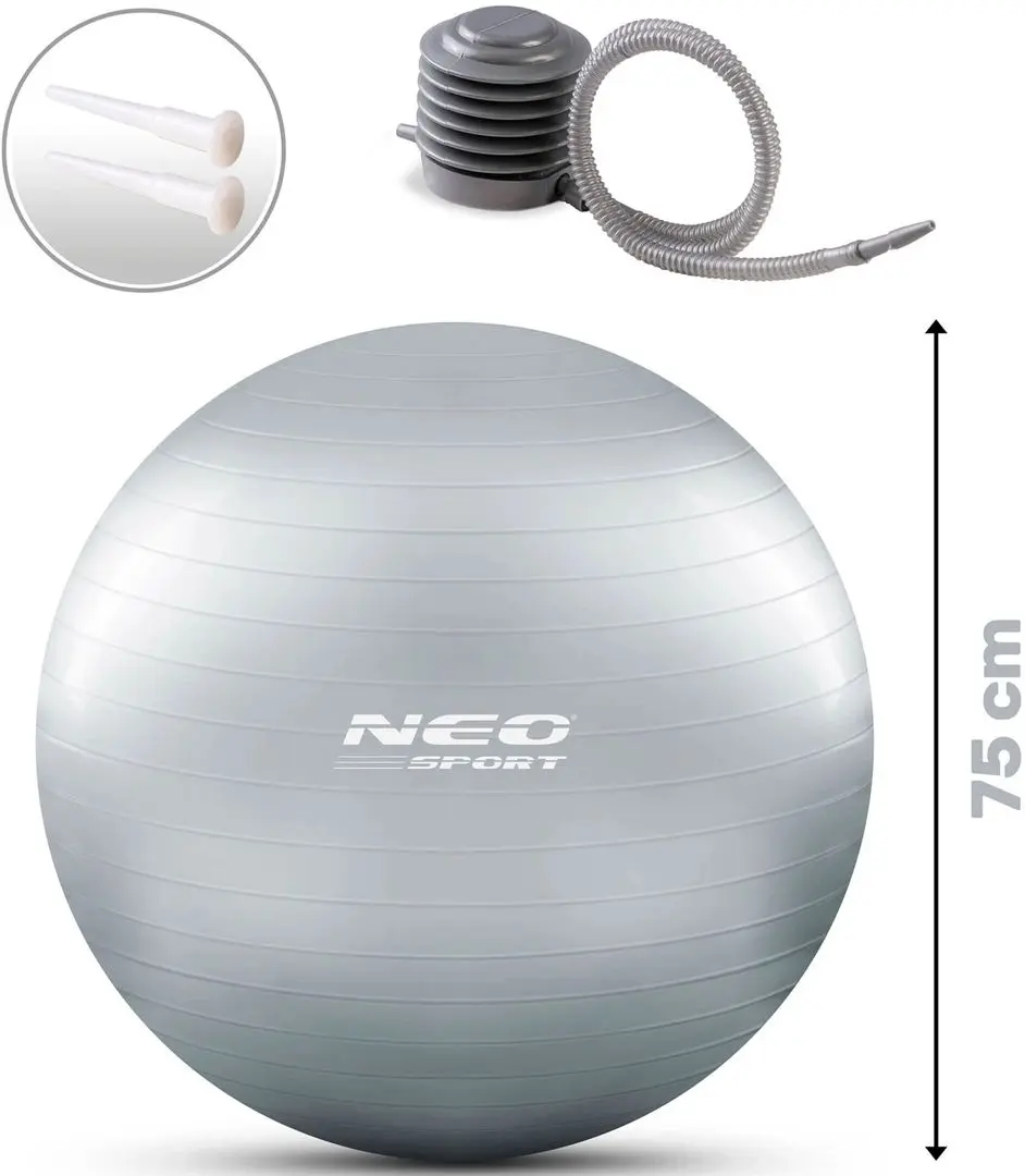 Fitball Neo-Sport NS-952 (Silver)