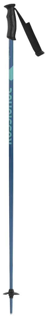 Bețe de schi Rossignol Electra 110 (Blue)