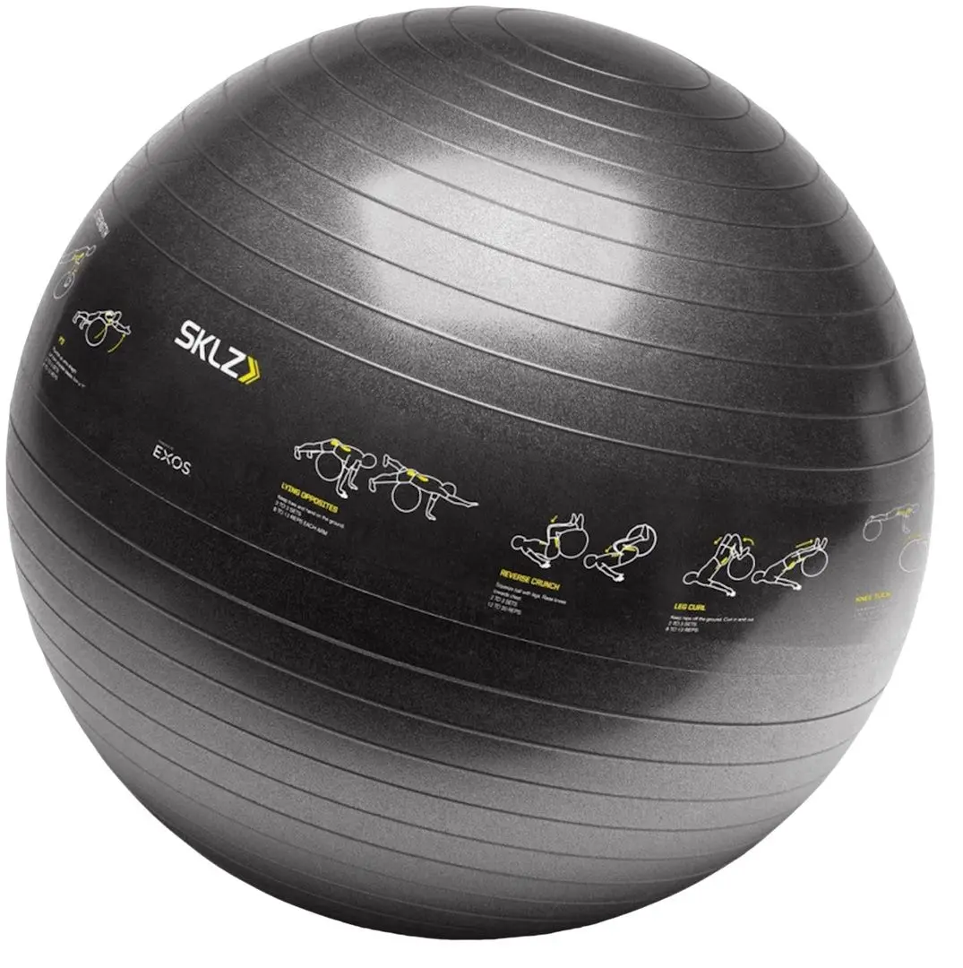 Гимнастический мяч SKLZ APD-TB-SPT-04 (Black)
