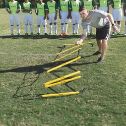 Scara de antrenament SKLZ Quick Ladder Pro LADD-001 (Yellow/Black) Thumb