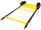 Тренировочная лестница SKLZ Quick Ladder SAQ-SL01-02 (Yellow/Black)