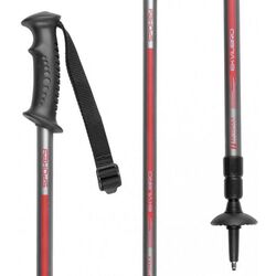 Треккинговая телескопическая палка Spokey Eqvilibro 924976 105-135 Thumb