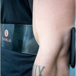 Izolator biceps Sveltus 1690 (Black) Thumb