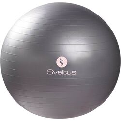 Fitball Sveltus 0340 65cm (Red)