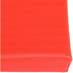 Мат для дзюдо Taishan 200x100x4cm (Red) Thumb