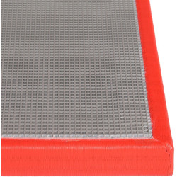 Saltea pentru judo Taishan 200x100x5cm (Red) Thumb