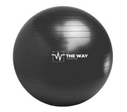 Фитбол TheWay Fitness FIT-ABTB (Black)