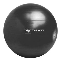 Fitball TheWay Fitness FIT-ABTB (Black)