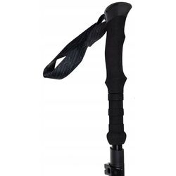Треккинговые палки Trizand 24396 (Black) Thumb