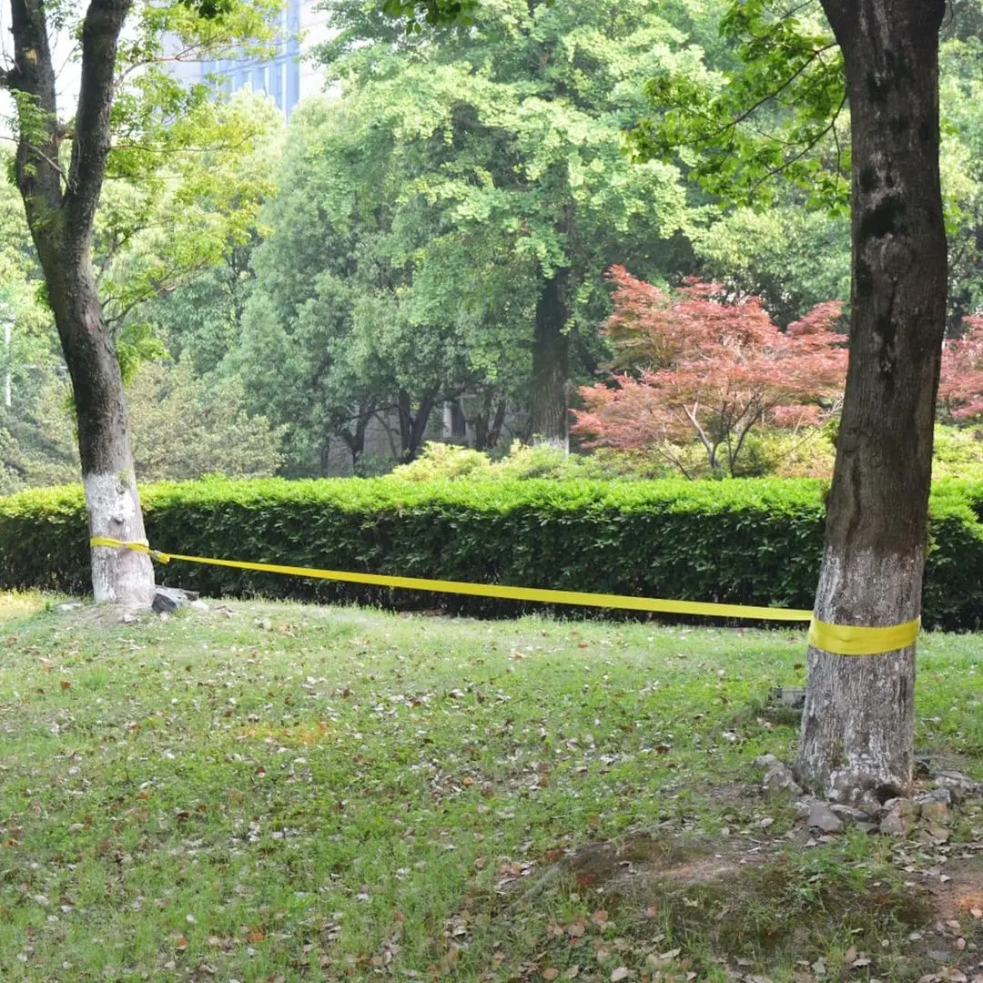 Coarda echilibru VidaXL 142667 (Yellow)