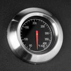 Гриль Activa Dakota III 19784G (Black) Thumb